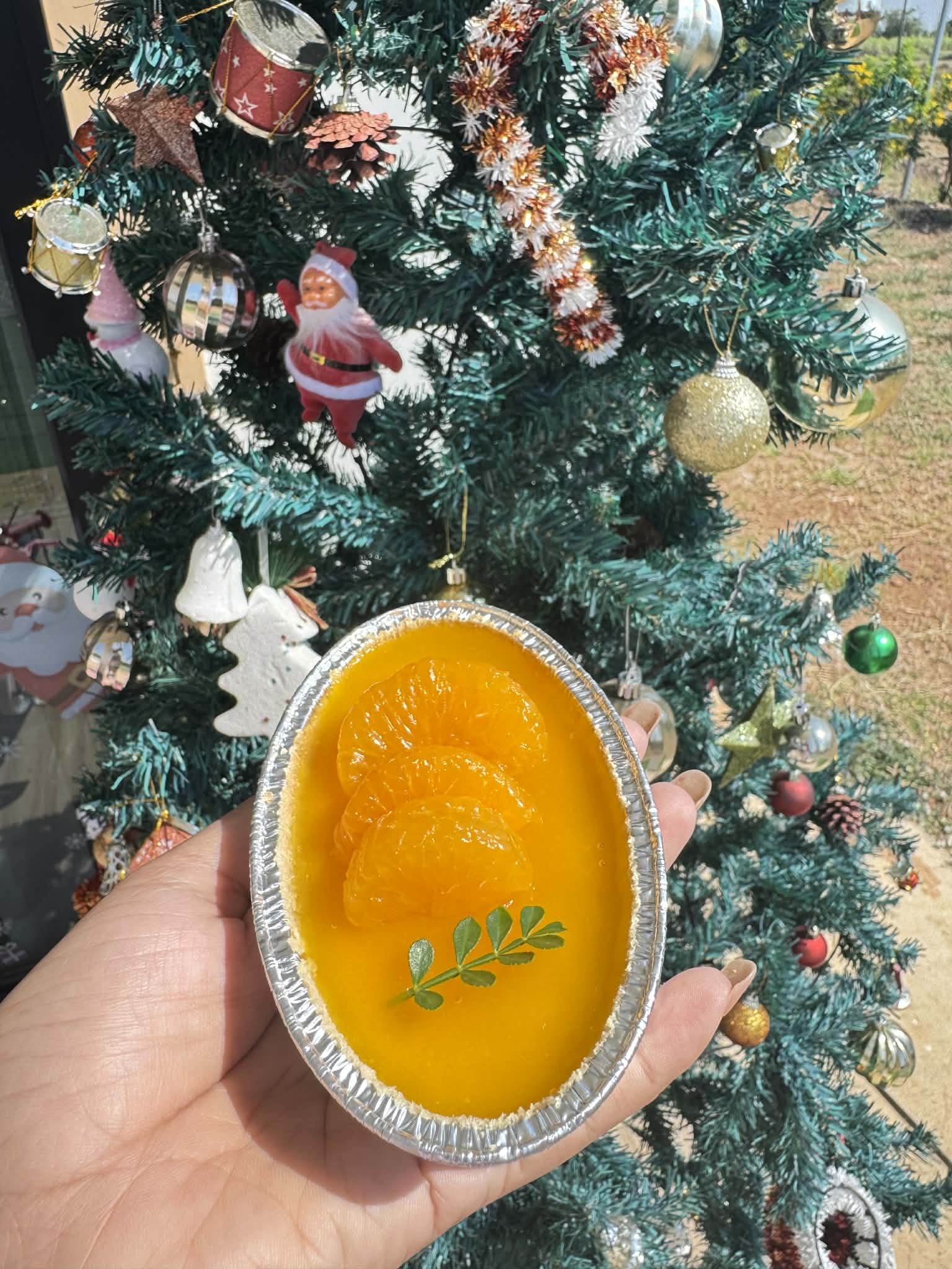 Orange Cake / เค้กส้มถ้วย